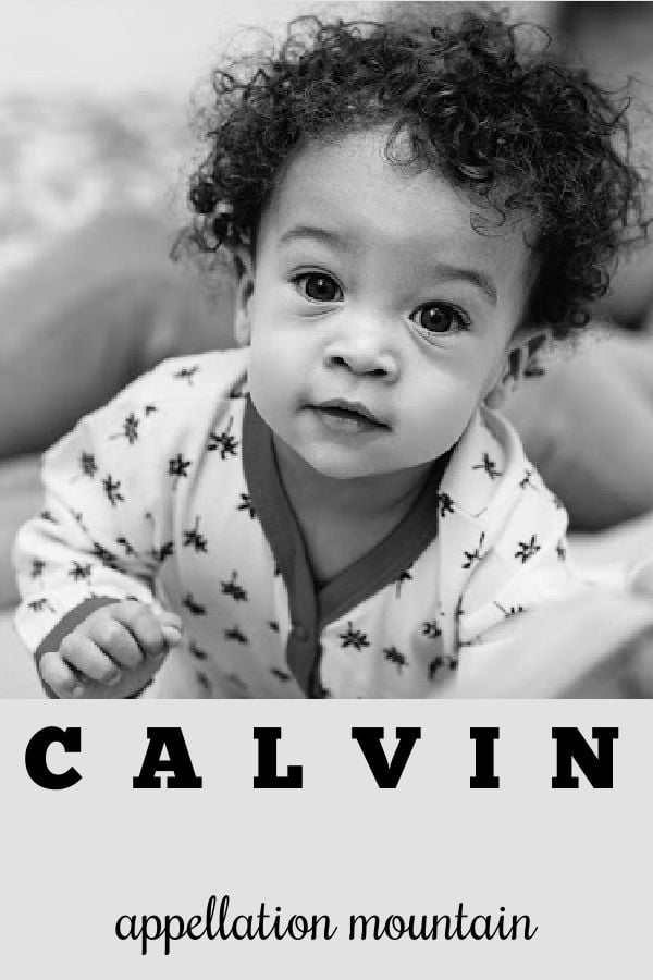 Calvin baby sale