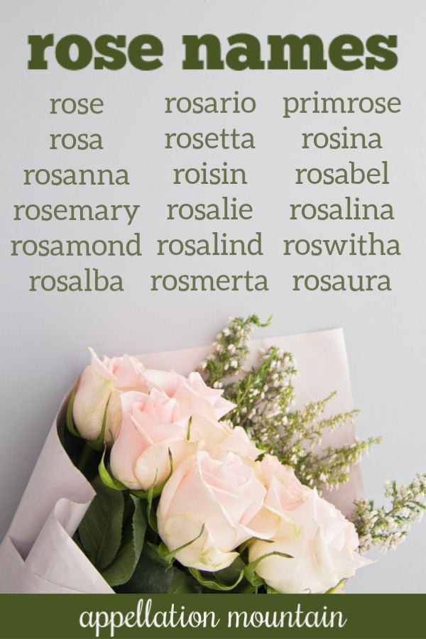Rose Names: Rosalie, Rosemary, Primrose - Appellation Mountain