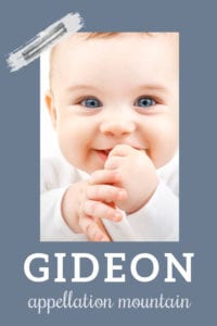baby name Gideon