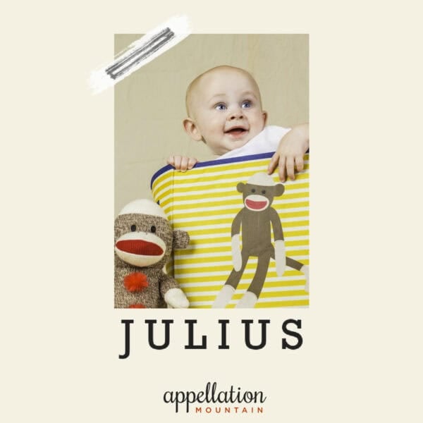bald white baby boy sitting in basket decorated with sock monkey; sock monkey on his left; baby name Julius