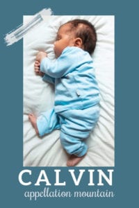 baby name Calvin