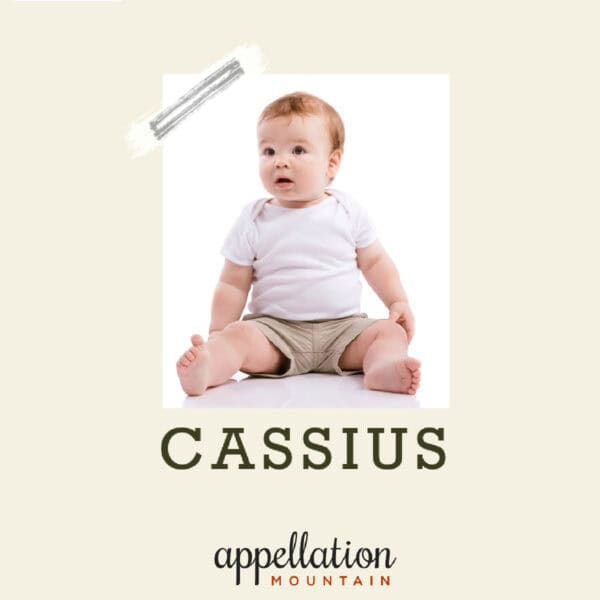baby name Cassius