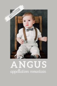 baby name Angus