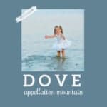 Dove: Baby Name of the Day
