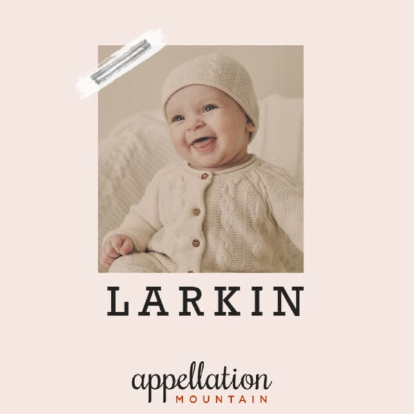 baby name Larkin