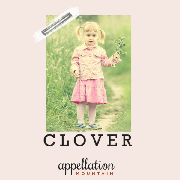 blonde toddler girl standing in field wearing pink jacket and skirt holding green sprig; baby name Clover