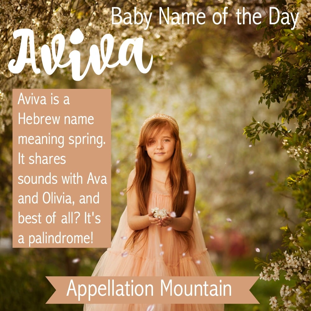Aviva: Baby Name of the Day