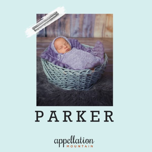 newborn baby wrapped in lilac blanket wearing matching hat in blue woven basket; baby name Parker