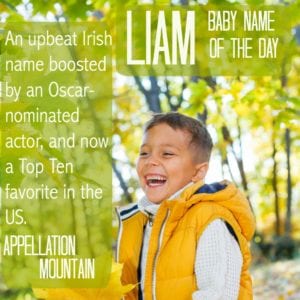 Liam: Baby Name of the Day