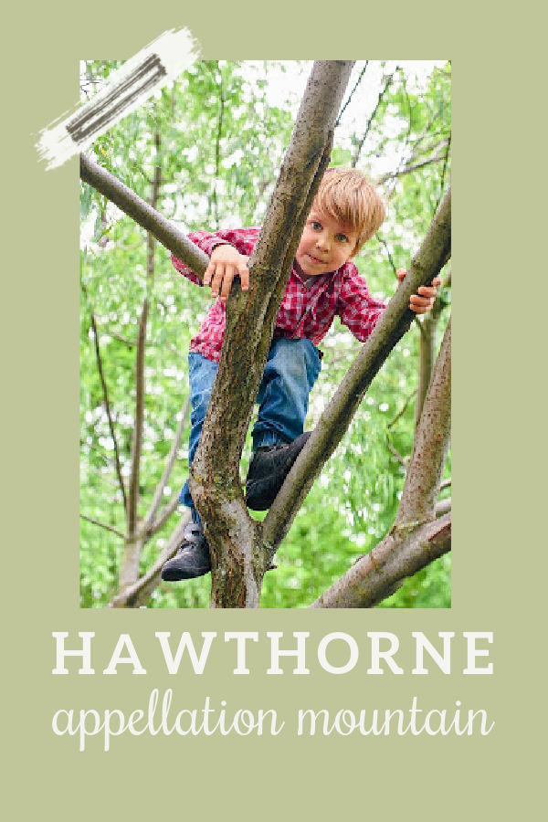 Baby Name Hawthorne: Literary and Outdoorsy