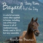 Bayard: Baby Name of the Day