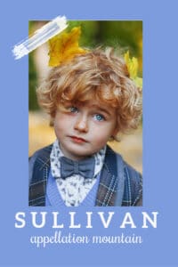 baby name Sullivan