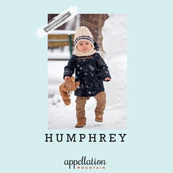 toddler boy in snow, wearing blue jacket, brown pants, and ivory knit hat and scarf, holding teddy bear "baby name Humphrey"