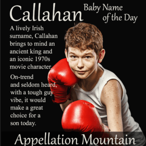 Callahan: Baby Name of the Day