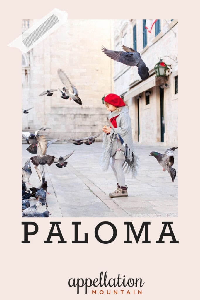 girl child wearing gray coat and red hat standing in urban square feeding pigeons; baby name Paloma