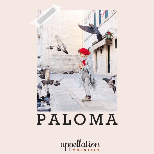 girl child wearing gray coat and red hat standing in urban square feeding pigeons; baby name Paloma