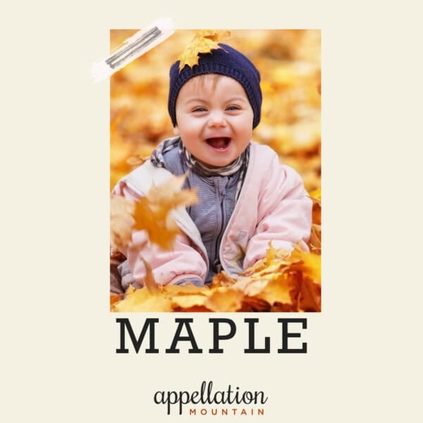 girl child sitting in field of golden maple leaves; baby name Maple
