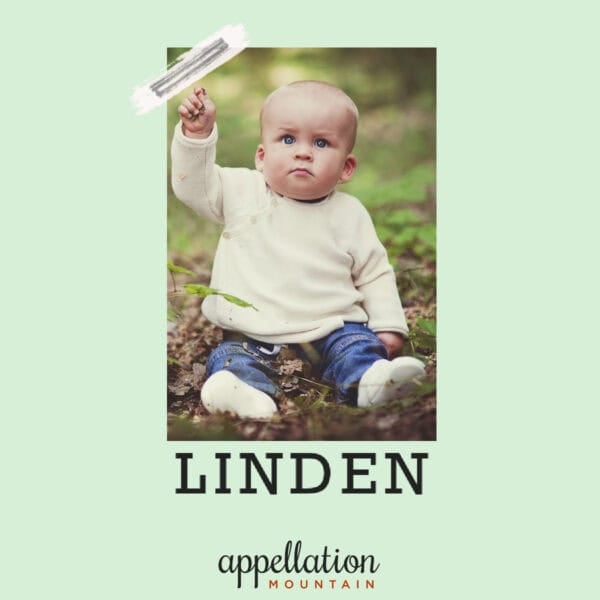 baby wearing cream knit sweater and jean sitting in the woods; baby name Linden