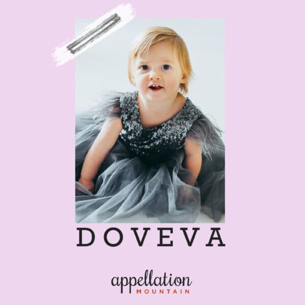 toddler girl with blonde hair wearing fancy silver-gray dress; baby name Doveva