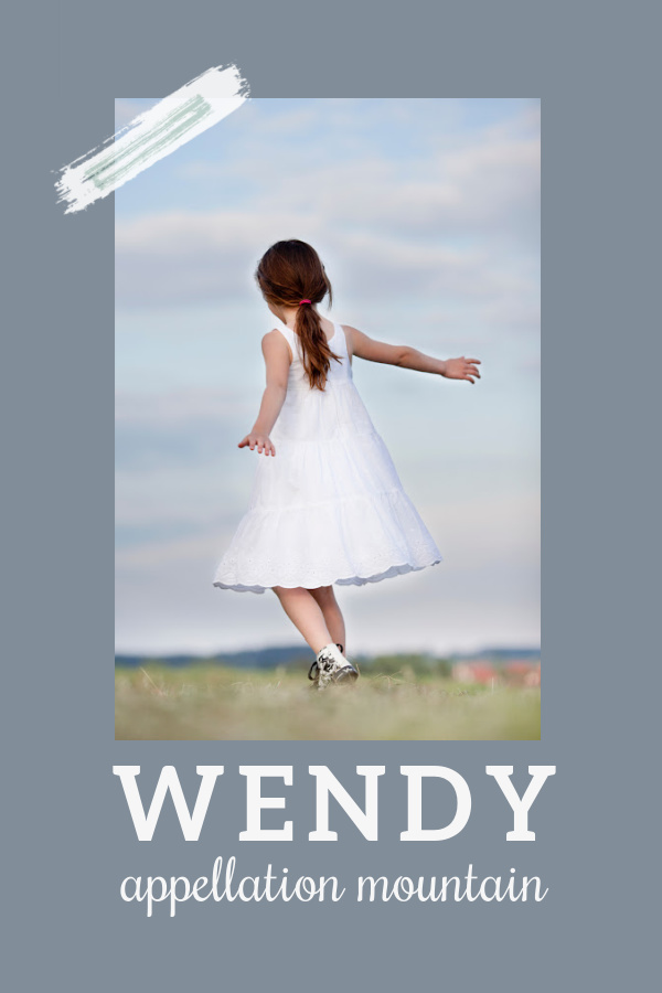 Baby Name Wendy: Storybook Hero