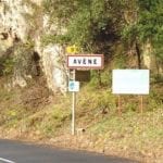 Avene: Baby Name of the Day