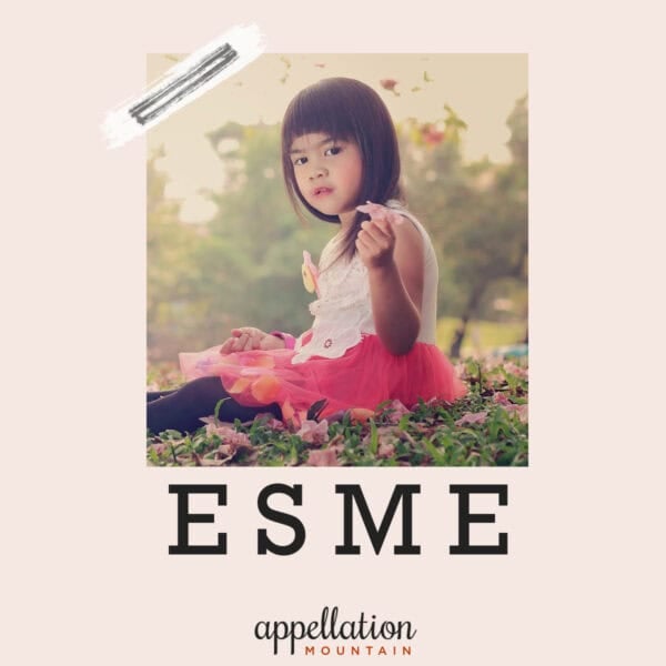 girl child of Asian descent with long dark hair wearing pink dress sitting outside holding pink flower; baby name Esme