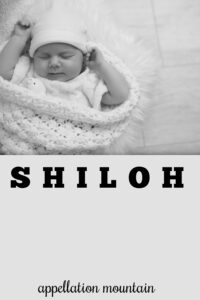 baby name Shiloh