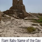 Elam: Baby Name of the Day