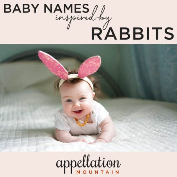 picture of baby wearing pink and white rabbit ear headband; "baby names inspired by rabbit names"