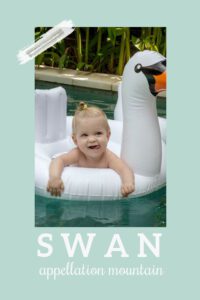 baby name Swan
