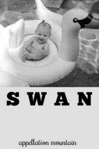baby name Swan