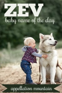 Zev: Baby Name of the Day