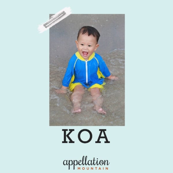 Hawaiian baby boy wearing blue and yellow wet suit sitting on wet sand; baby name Koa