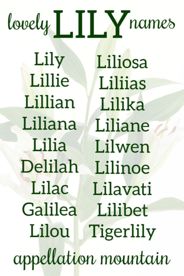 Lily Names Lilith, Liliosa and Liliane Appellation Mountain