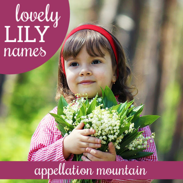 Lily Names