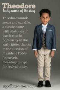 teddy baby name