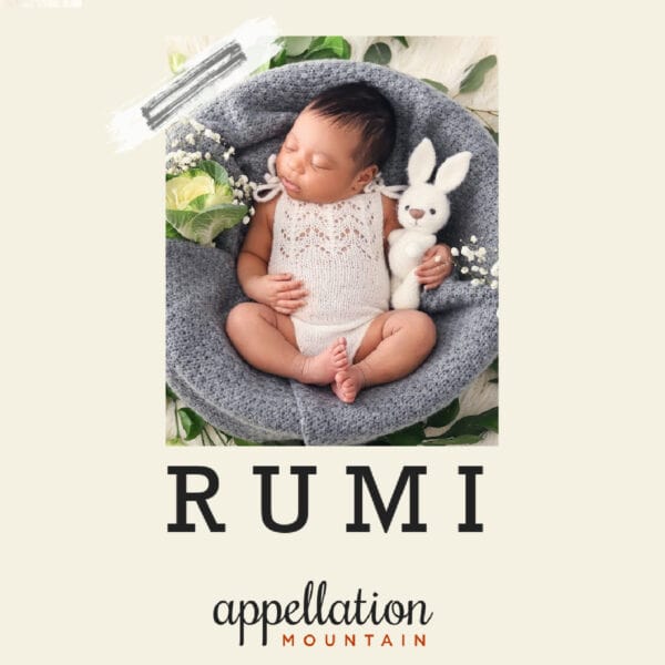 African American baby wearing ivory knit onesie sleeping on gray blanket with greenery holding stuffed bunny; Baby Name Rumi