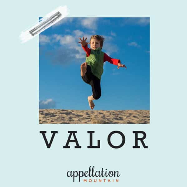 baby name Valor