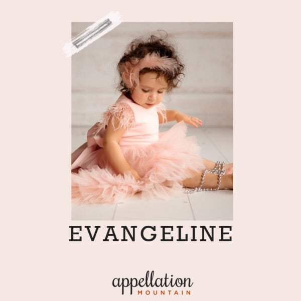 baby girl with dark curly hair wearing pink party dress; baby name Evangeline