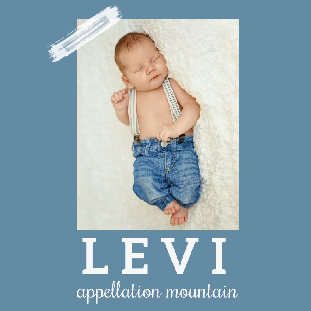 baby name Levi