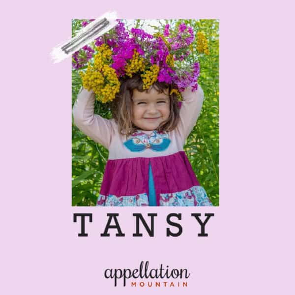 young girl in colorful dress with flowers on her head; Baby Name Tansy