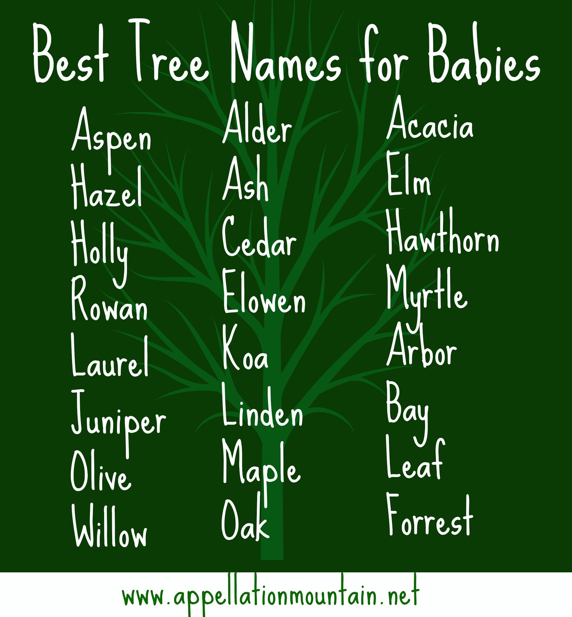 tree-names