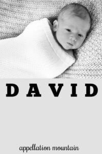 baby name David
