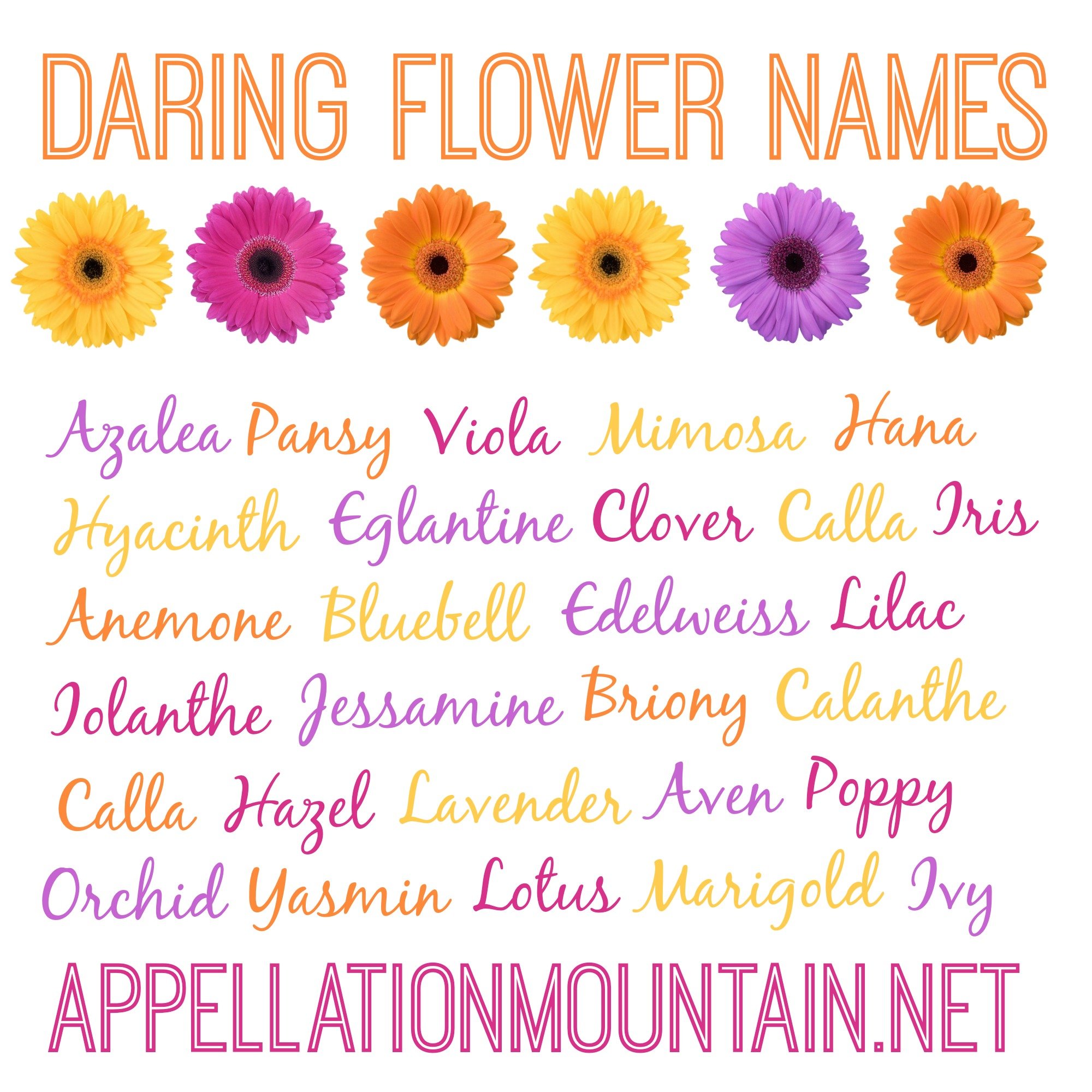 Azalea and Edelweiss: Daring Flower Names - Appellation ...