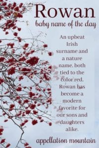 Rowan: Baby Name of the Day