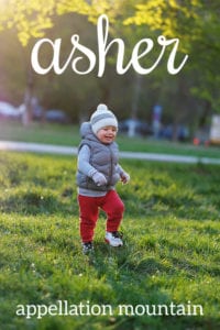 Asher: Baby Name of the Day