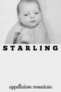 baby name Starling