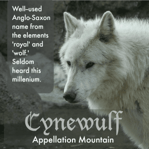 Cynewulf