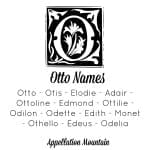 Odette, Ottilie, and Otis: The Ottos