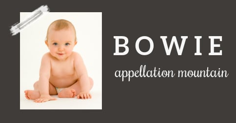 Boy Names Starting with B: Benjamin, Bowie, Bronx - Appellation Mountain